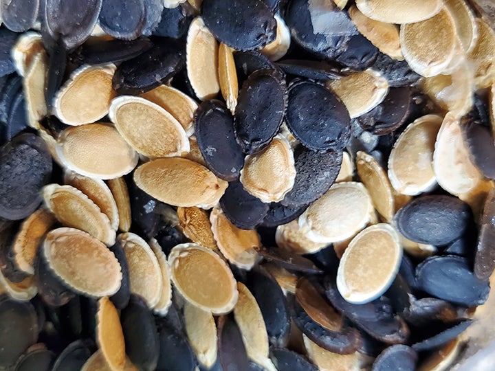 Husky Loofah Seed Packet | Loof'n Round Gardens